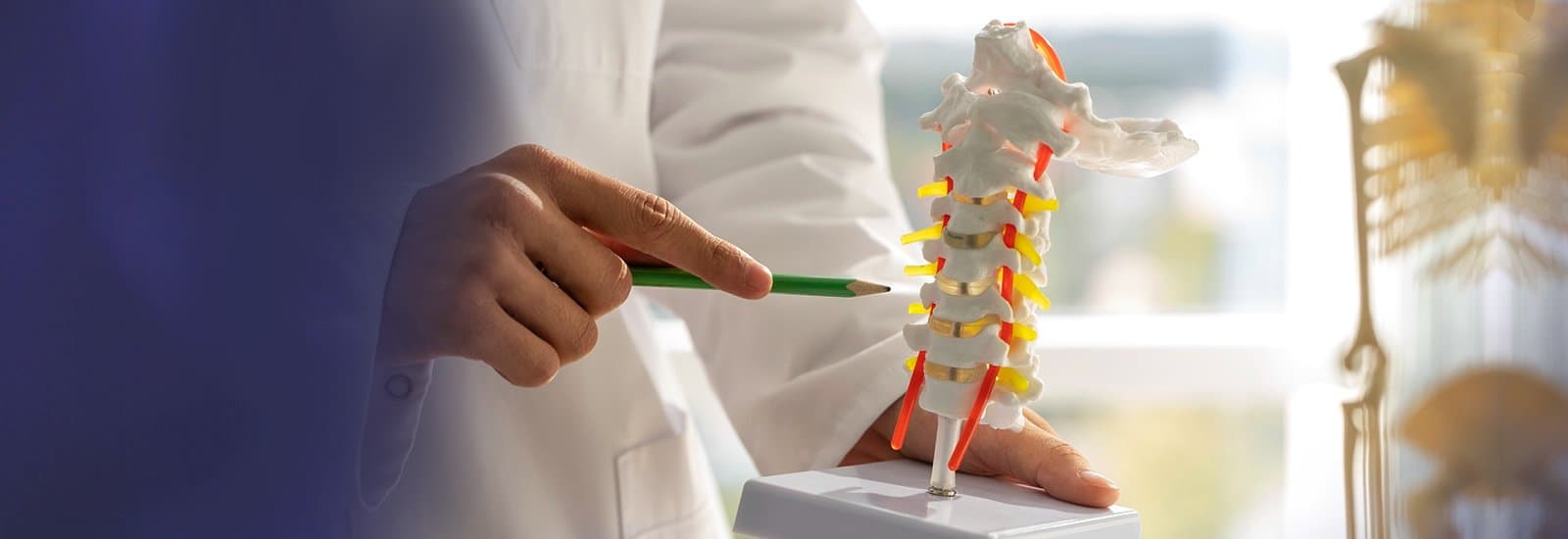 Orthopedics