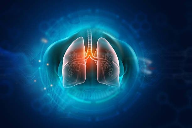 Pulmonology