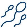 ICSI